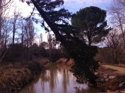 Abadía_Retuerta_visita_finca